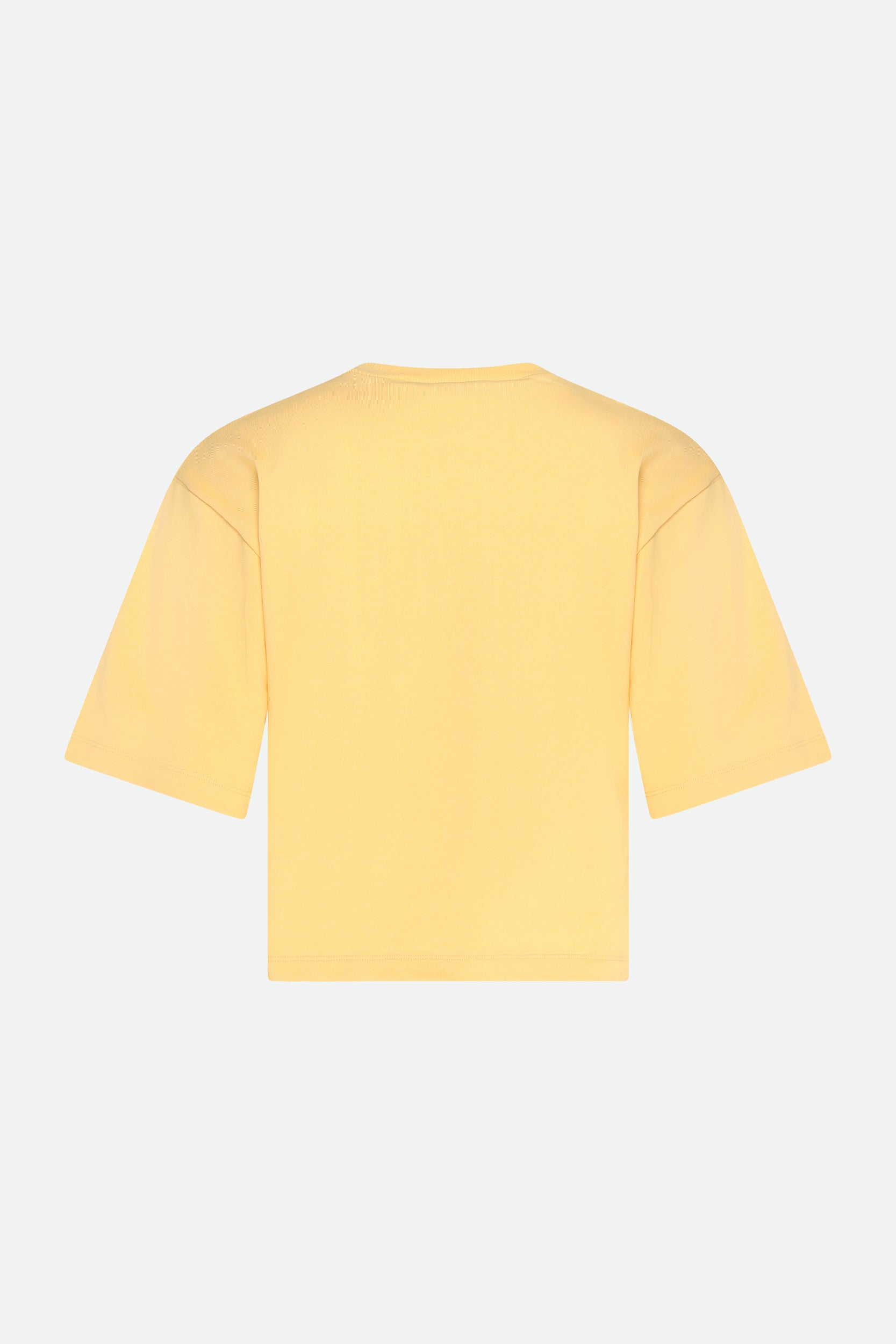 Sportmax T-Shirt con Stampa Gialla