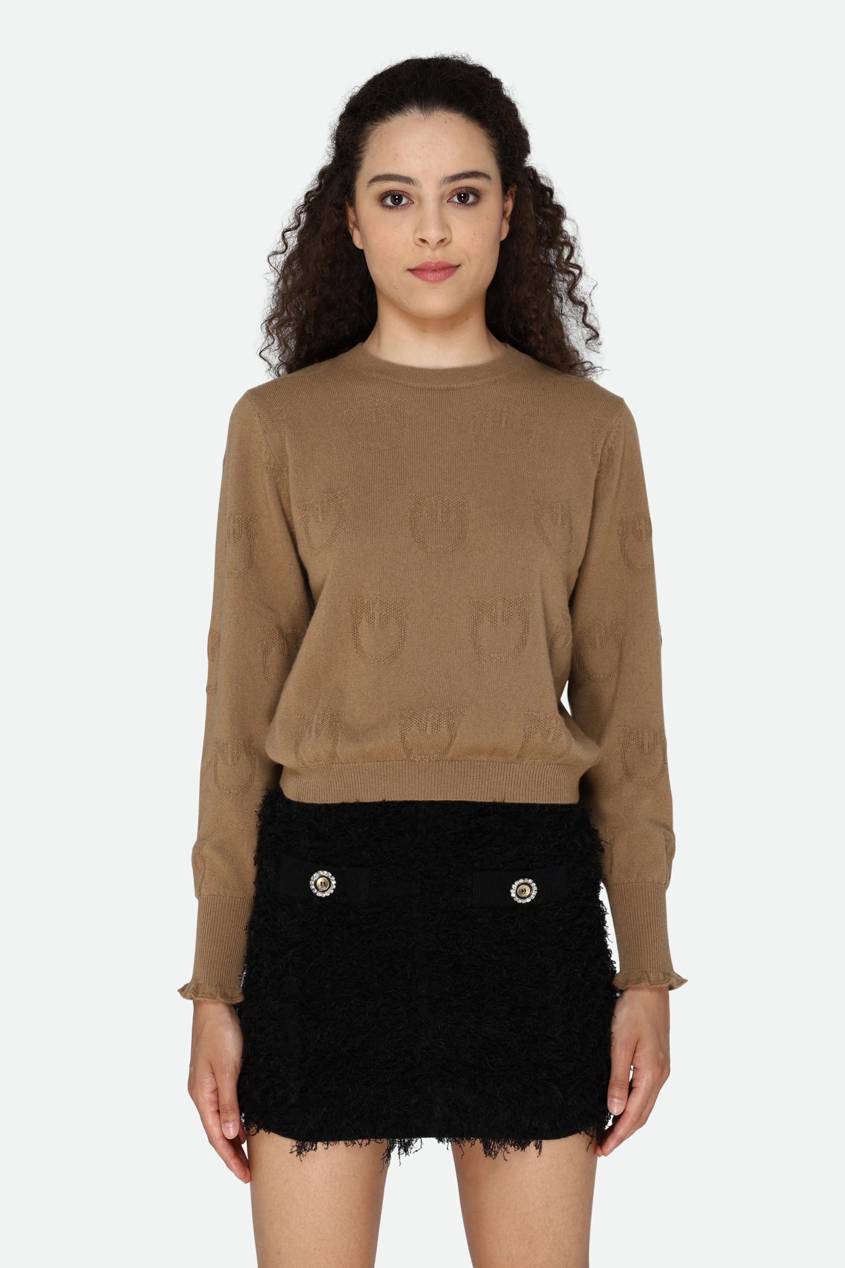 Pinko Brown Sweater