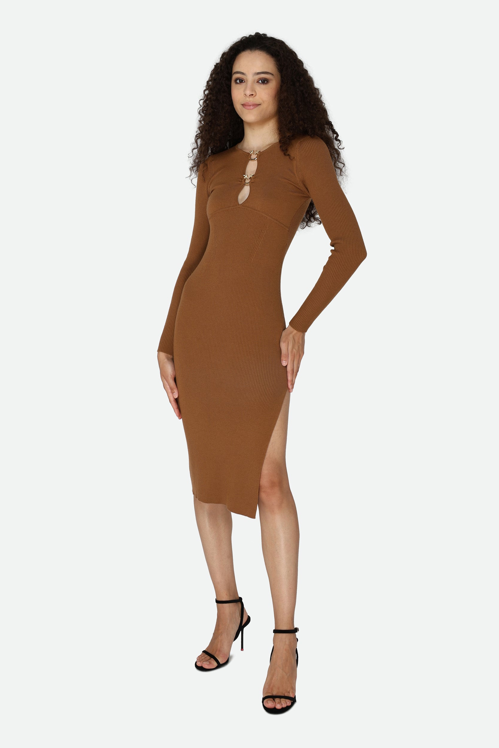 Pinko Brown Sheath Dress