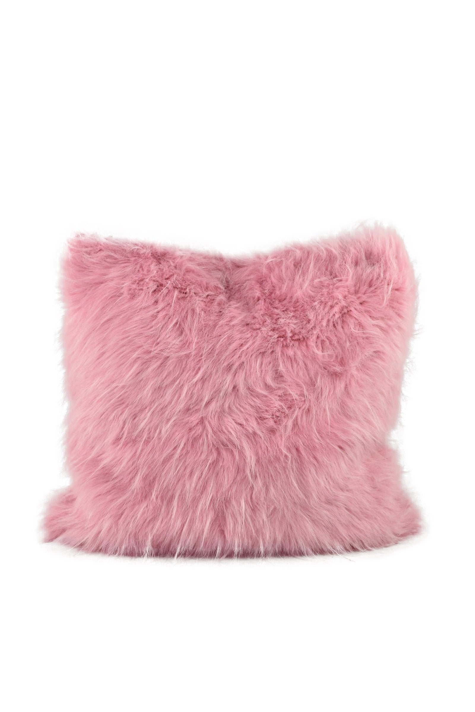 Msgm Borsa