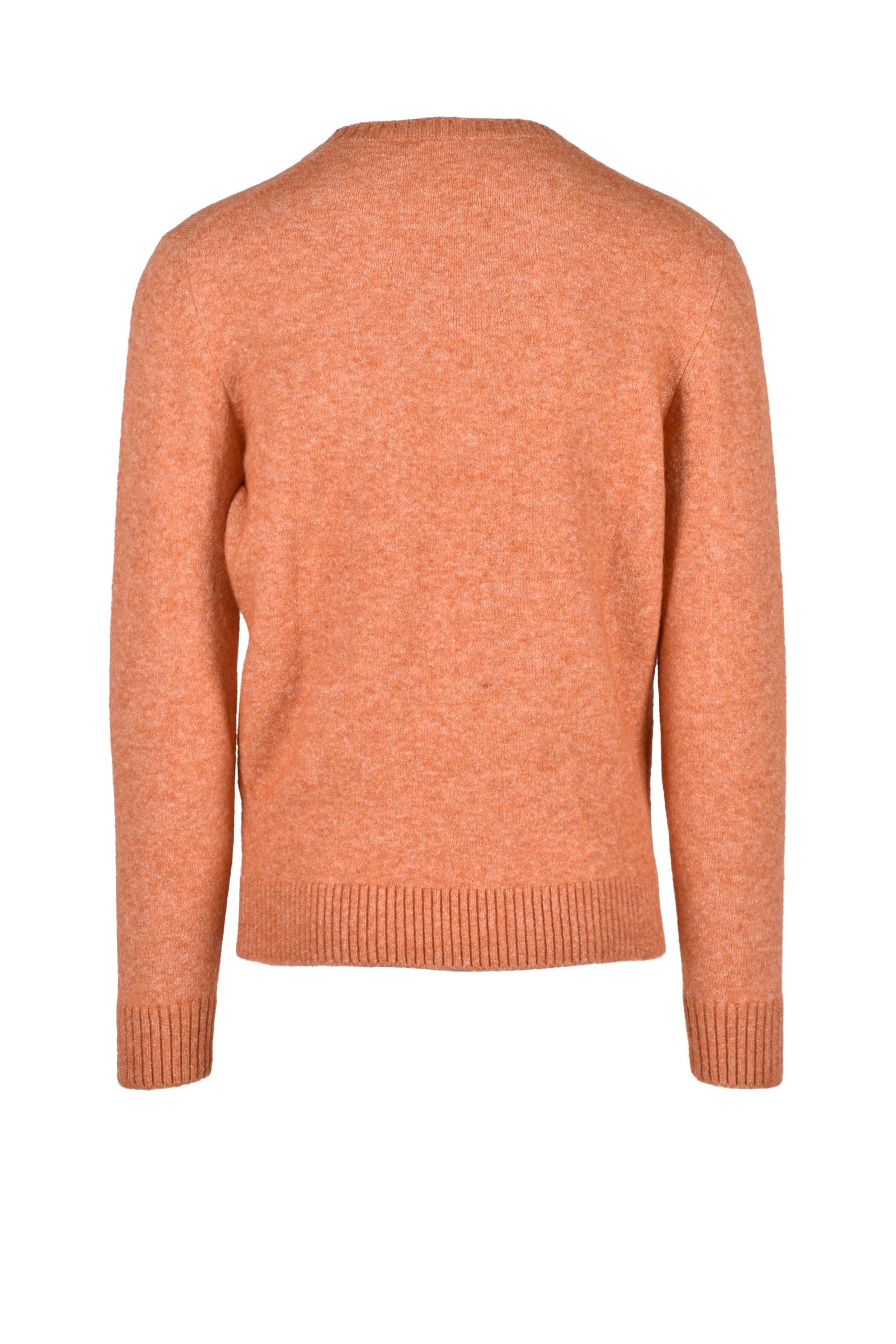 Kangra Maglia