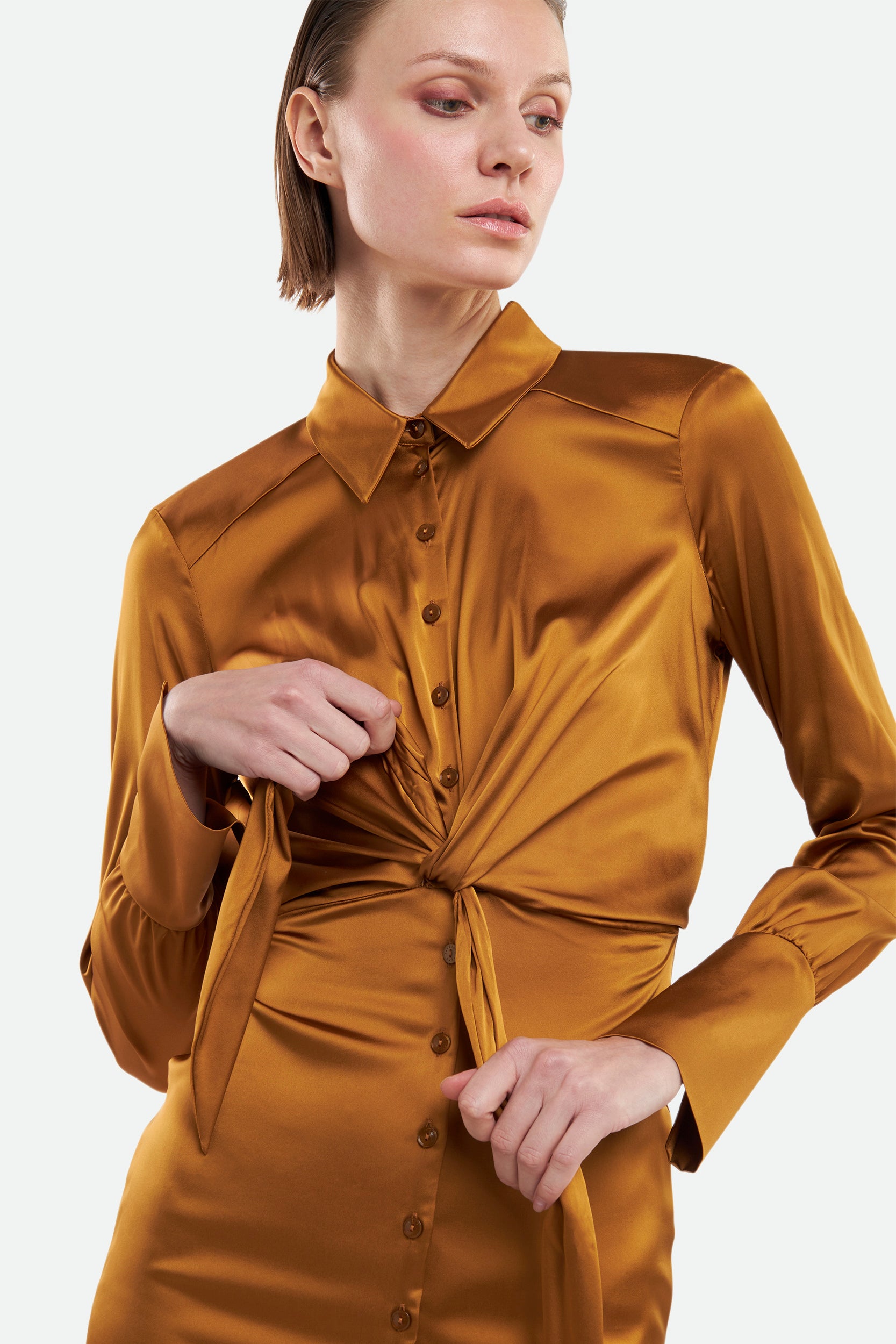 Patrizia Pepe Bronze Dress